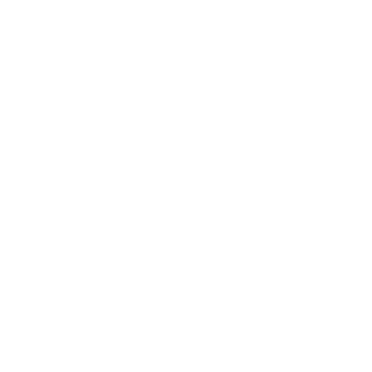 Stalen Training logo