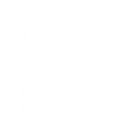 Stalen Training logo